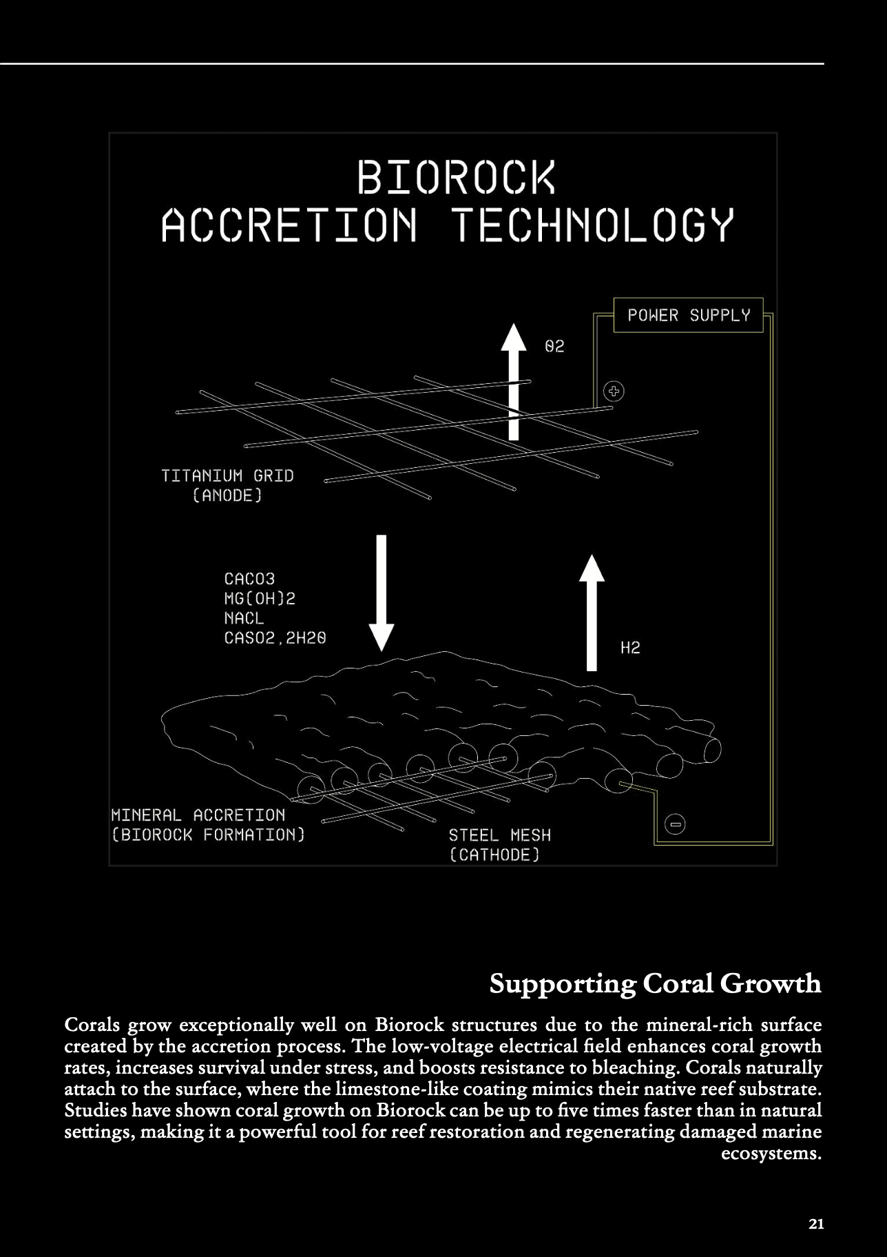 Biorock Accretion Technology — supporting coral growth