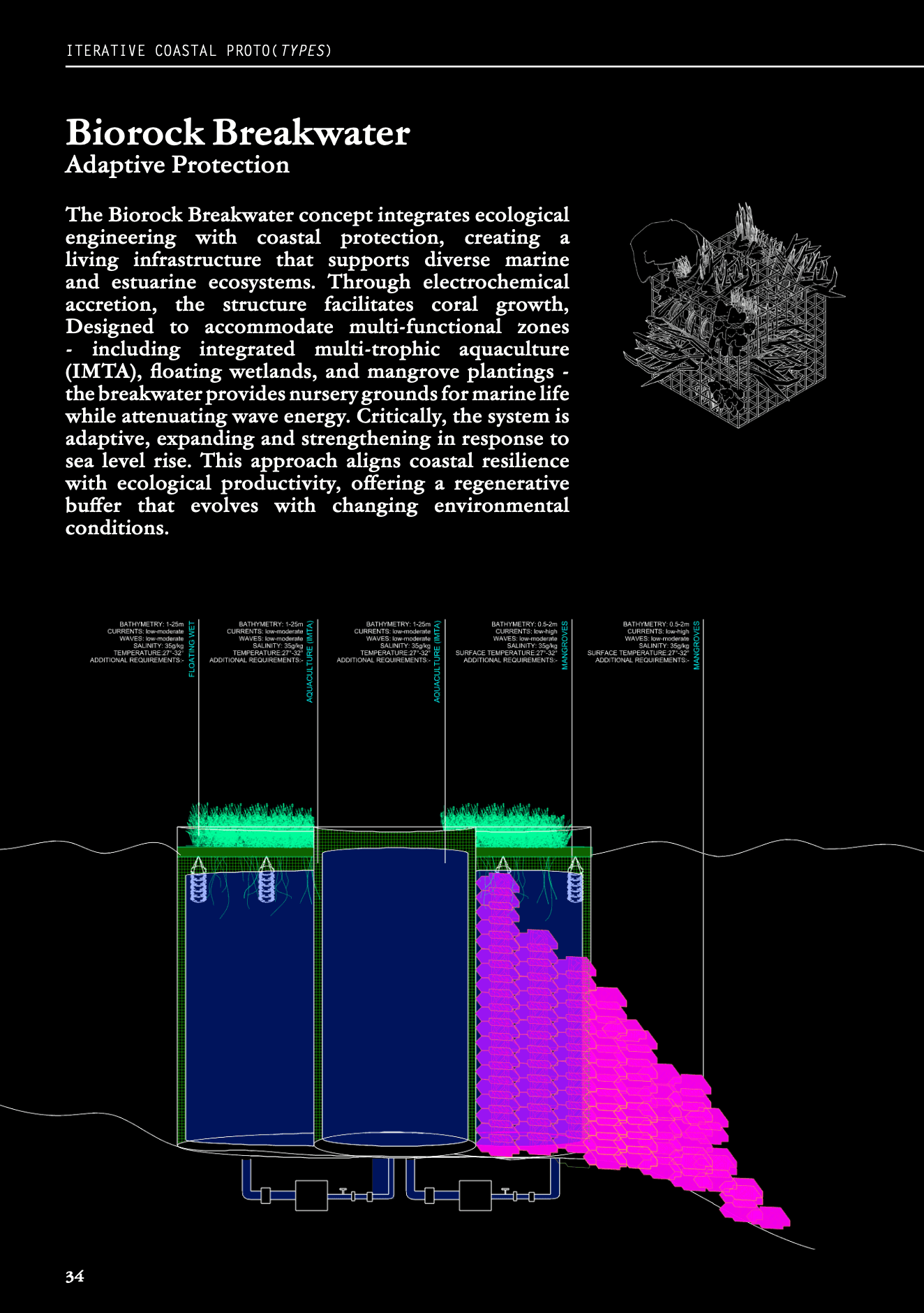 Biorock Breakwater — adaptive protection
